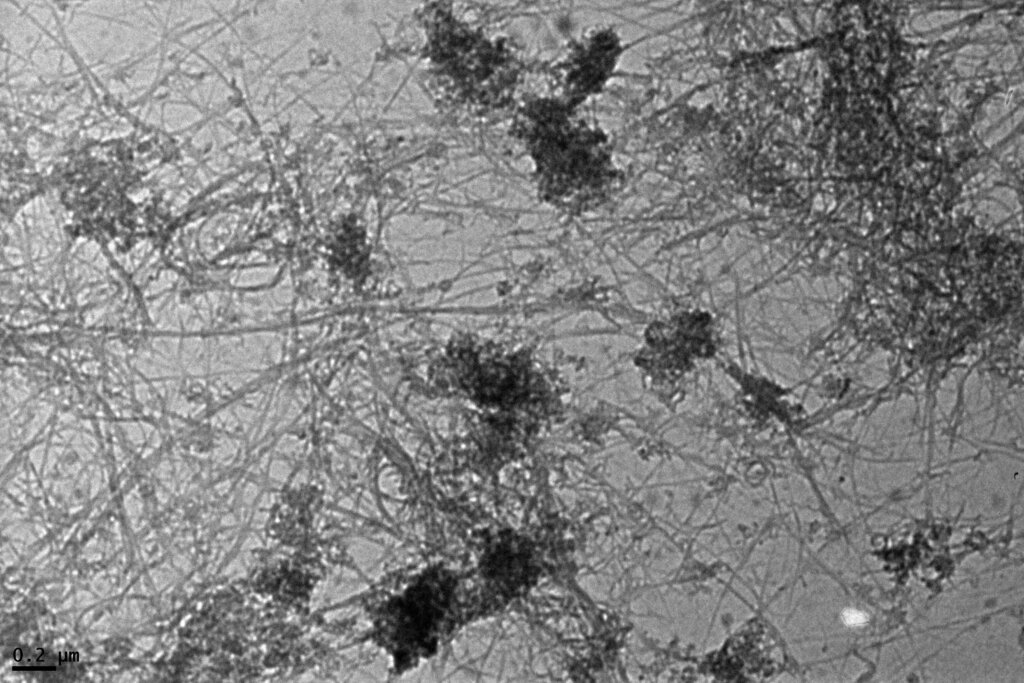 Microscope image of ligase-carbon nanotubes (CNTs)