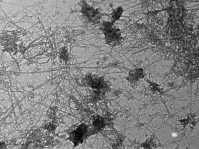 Microscope image of ligase-carbon nanotubes (CNTs)